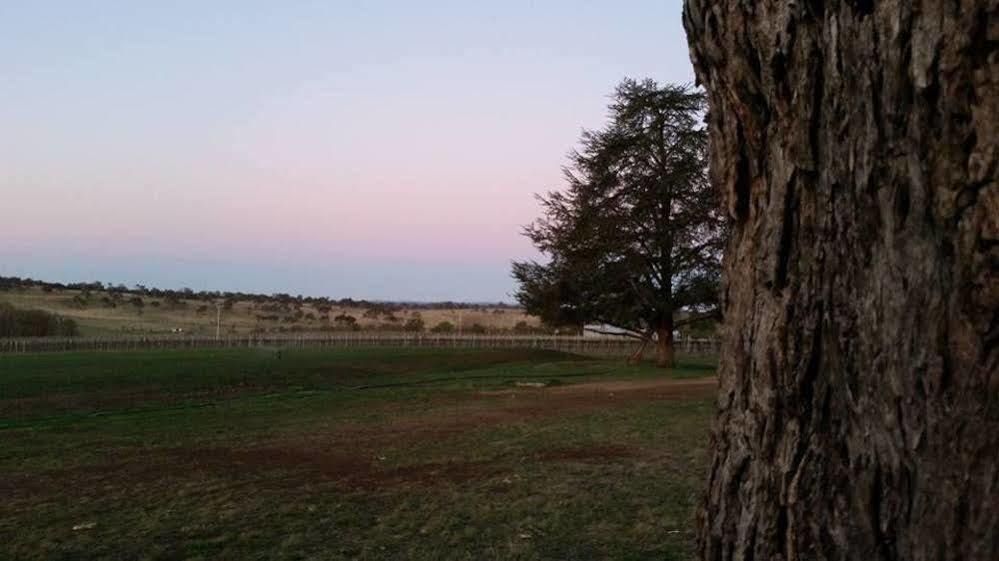 Petersons Armidale Winery And Guesthouse Luaran gambar