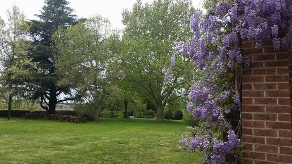 Petersons Armidale Winery And Guesthouse Luaran gambar